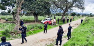 Resguarda Policía Municipal de Huamantla Hallazgo de Restos Óseos en Ignacio Zaragoza- AlternativaTlx 
