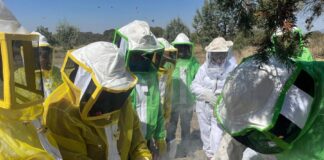 SIA Fortalece Condiciones de Colmenas para Cosecha de Miel en Tlaxco- AlternativaTlx 