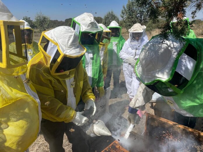 SIA Fortalece Condiciones de Colmenas para Cosecha de Miel en Tlaxco- AlternativaTlx 