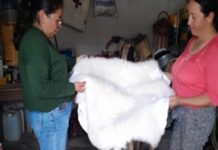 SIA Impulsa Taller para dar Valor Agregado en Subproductos de la Cadena Ovina- AlternativaTlx 