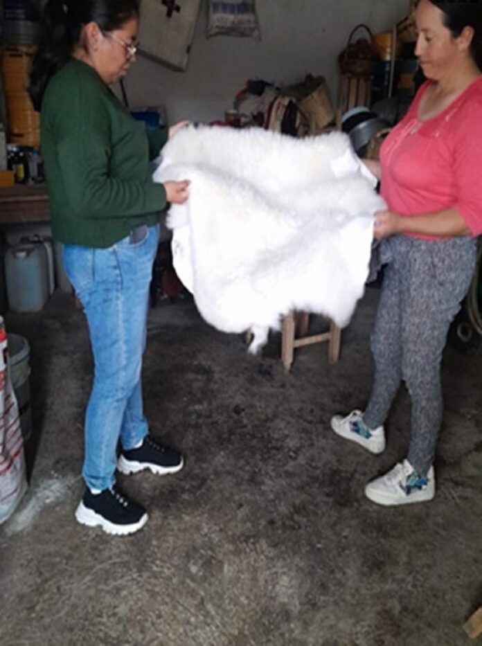SIA Impulsa Taller para dar Valor Agregado en Subproductos de la Cadena Ovina- AlternativaTlx SIA Impulsa Taller para dar Valor Agregado en Subproductos de la Cadena Ovina- AlternativaTlx