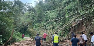 SICT Trabaja en la Rehabilitación en Carreteras Federales y Estatales Afectadas por Huracán Erick - AlternativaTlx