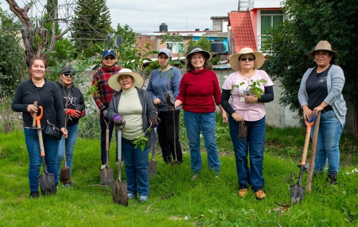 SMDIF Zacatelco Encabeza Campaña de Reforestación y Limpieza en las Comunidades- AlternativaTlx 