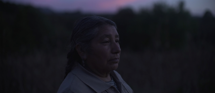 TZOFO, Documental que Cuenta la Historia, El Dolor, La Entereza y La Dignidad de una Mujer Otomí - AlternativaTlx