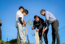 Zacatelco Conmemora el Día Mundial del Medio Ambiente con Reforestación en la Quinta Sección- AlternativaTlx 