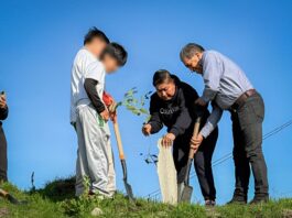 Zacatelco Conmemora el Día Mundial del Medio Ambiente con Reforestación en la Quinta Sección- AlternativaTlx 