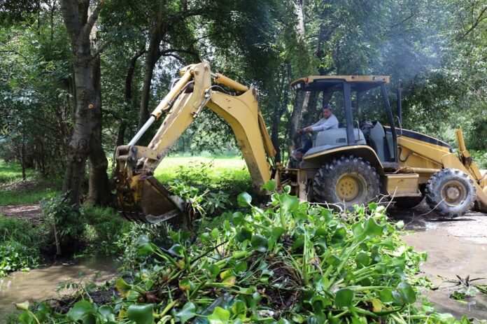 Zacatelco Refuerza Infraestructura Agrícola con Limpieza de Canal de Riego en Ametoxtla- AlternativaTlx 
