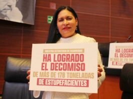 Ana Lilia Rivera: Nueva Ley de Seguridad Consolida Guardia Nacional y Garantiza Seguridad Ciudadana- AlternativaTlx 
