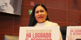 Ana Lilia Rivera: Nueva Ley de Seguridad Consolida Guardia Nacional y Garantiza Seguridad Ciudadana- AlternativaTlx 