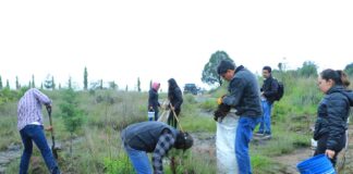 Comunidad del CIGyA-UATx mantiene su Labor de rescate de Flora y Fauna en el Cerro de San Gregorio, Metepec - AlternativaTlx