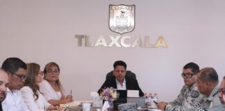 Fortalecen Acciones Interinstitucionales para Prevenir y Combatir la Tala Ilegal en Bosques de Tlaxcala- AlternativaTlx 
