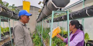 Fortalecen Autonomía de Familias Rurales con Capacitación Especializada en Control de Plagas- AlternativaTlx 