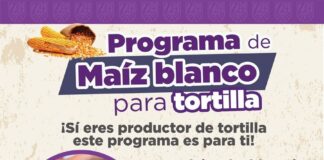 Gobierno de Zacatelco Lanza Programa para Adquirir Maíz a Bajo Costo- AlternativaTlx 