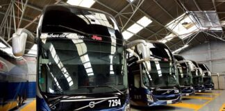 Habrá Descuentos para Estudiantes y Maestros al Viajar en Autotransporte Federal Durante Vacaciones de Verano - AlternativaTlx