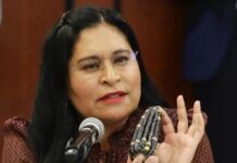 Hijos del Maíz y Ana Lilia Rivera Celebran Demanda Legal que Impide Siembra de Transgénicos en México- AlternativaTlx 
