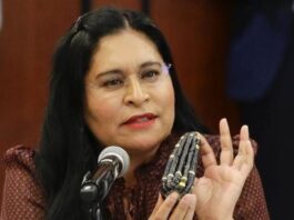 Hijos del Maíz y Ana Lilia Rivera Celebran Demanda Legal que Impide Siembra de Transgénicos en México- AlternativaTlx 