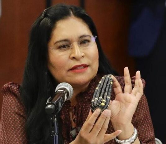 Hijos del Maíz y Ana Lilia Rivera Celebran Demanda Legal que Impide Siembra de Transgénicos en México- AlternativaTlx 