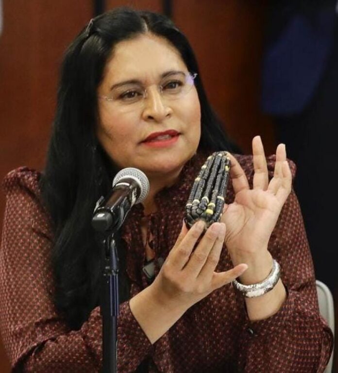 Hijos del Maíz y Ana Lilia Rivera Celebran Demanda Legal que Impide Siembra de Transgénicos en México- AlternativaTlx Hijos del Maíz y Ana Lilia Rivera Celebran Demanda Legal que Impide Siembra de Transgénicos en México- AlternativaTlx
