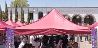 Impulsa Alfonso Sánchez García Beneficios del Mercado Social en Acuitlapilco para Fortalecer Economía Solidaria- AlternativaTlx 