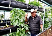 Impulsan Bienestar Rural con Programas de Asistencia Técnica y Capacitación para Productores Vulnerables- AlternativaTlx 