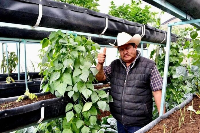 Impulsan Bienestar Rural con Programas de Asistencia Técnica y Capacitación para Productores Vulnerables- AlternativaTlx 