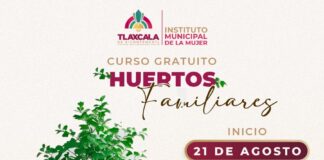 Invita Ayuntamiento de Tlaxcala al Curso Gratuito de Huertos Familiares para Mujeres de la Capital- AlternativaTlx 