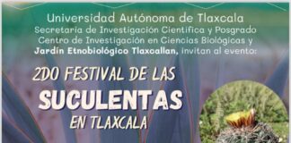 Invita el CICB-UATx al Segundo Festival de Suculentas - AlternativaTlx
