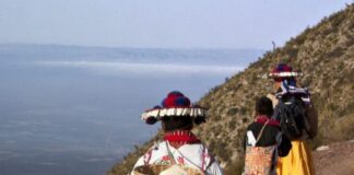 La Ruta Wixárika por los Sitios Sagrados a Wirikuta es Inscrita en la Lista de Patrimonio Mundial de la Unesco - AlternativaTlx
