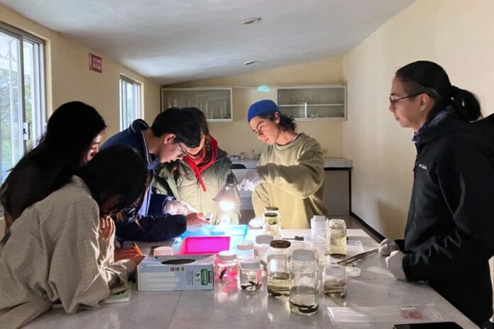 Mantiene CTBC-UATx Actividad Permanente en Estudio de Anfibios y Reptiles Nativos de Tlaxcala - AlternativaTlx