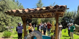 Medios Estatales y Nacionales Visitan el Santuario de las Luciérnagas para Promover Turismo Sostenible en Tlaxcala- AlternativaTlx 