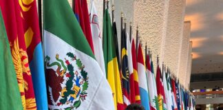 Participa Ray Vázquez en la 113 Conferencia sobre el Trabajo de la ONU, sede Ginebra - AlternativaTlx