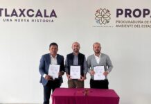Refuerzan PROPAET y CONAFOR Capacitación Forestal con Entrega de Insumos- AlternativaTlx 