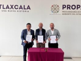 Refuerzan PROPAET y CONAFOR Capacitación Forestal con Entrega de Insumos- AlternativaTlx 