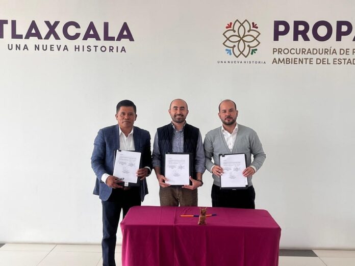Refuerzan PROPAET y CONAFOR Capacitación Forestal con Entrega de Insumos- AlternativaTlx 