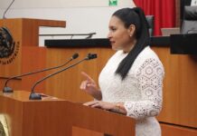 Rivera: Avanza en México un Modelo de Seguridad más Eficiente, Articulado y con Mayor Legitimidad- AlternativaTlx 