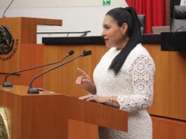 Rivera: Avanza en México un Modelo de Seguridad más Eficiente, Articulado y con Mayor Legitimidad- AlternativaTlx 