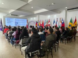 SEDECO Fortalece Eficiencia Administrativa con Actualizaciones de Plataforma Cero Papel- AlternativaTlx 