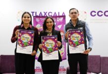 SEDIF Presenta Edición 2025 del Curso de Verano “La Ciudad de las Niñas y los Niños”- AlternativaTlx 