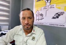 Urge Defender la Tortilla y la Soberanía Alimentaria Nacional - AlternativaTlx