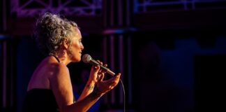 “Ventrículos y Aurículas”, un Proyecto Musical que Brota del Corazón - AlternativaTlx