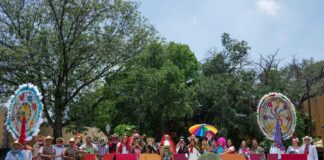 “Veracruz en los Pinos”, una Muestra de la Riqueza Cultural Jarocha - AlternativaTlx
