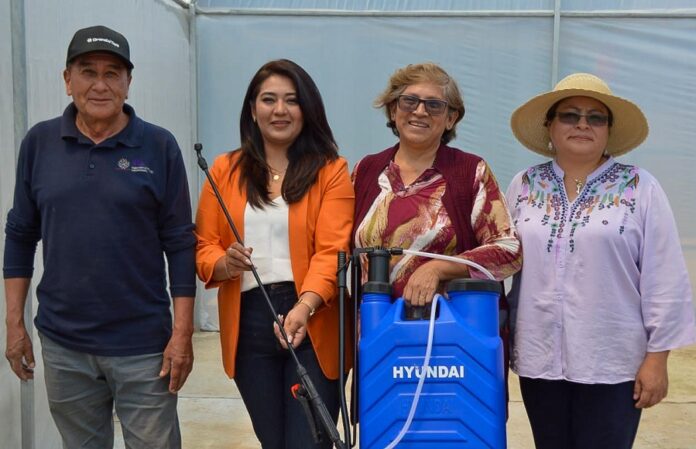 Zacatelco es Beneficiado con Gestión para Realizar Invernaderos de Fresas- AlternativaTlx 