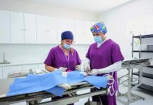 Análisis de Acciones en un Año de la Coordinación de Bienestar Animal del Estado- AlternativaTlx 