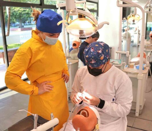 Cada vez más es amplio el abanico de opciones para trabajar de un Dentista - AlternativaTlx