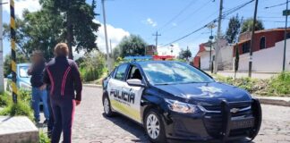 Coordinación entre Policía Municipal y Estatal Deriva en la Detención de Dos Presuntos Asaltantes, Rescate de lo Robado y Atención a la Víctima- AlternativaTlx 