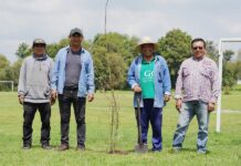 Gobierno Municipal de Zacatelco Continúa con Jornadas de Reforestación en Espacios Naturales- AlternativaTlx 