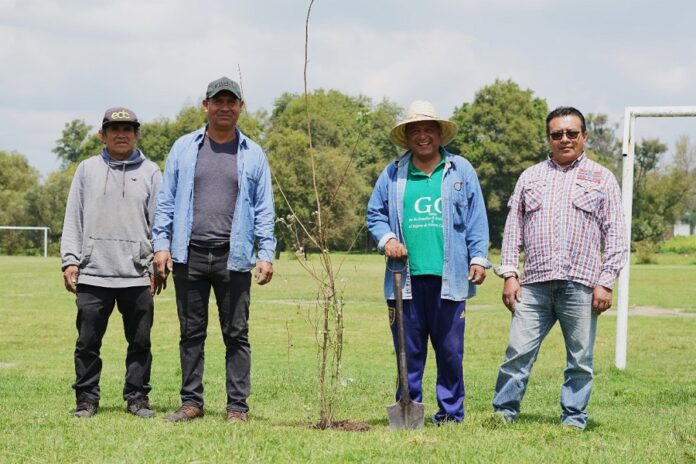 Gobierno Municipal de Zacatelco Continúa con Jornadas de Reforestación en Espacios Naturales- AlternativaTlx 