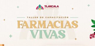 Gobierno de Alfonso Sánchez García Impulsa Capacitación con Farmacias Vivas para Emprendedores de la Capital- AlternativaTlx 