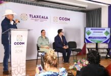 Gobierno del Estado Respalda a 403 Productores Afectados por las Lluvias con 55.7 Toneladas de Semilla de Avena