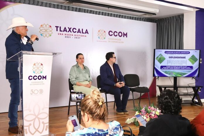 Gobierno del Estado Respalda a 403 Productores Afectados por las Lluvias con 55.7 Toneladas de Semilla de Avena Gobierno del Estado Respalda a 403 Productores Afectados por las Lluvias con 55.7 Toneladas de Semilla de Avena